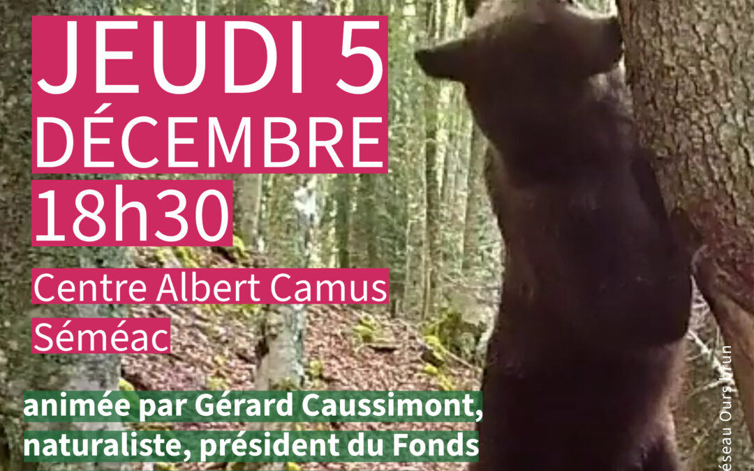 Ma planète et moi :  A la rencontre de l’Ours brun, conférence animée par Gérard Caussimont.